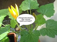 Bild 003.webp