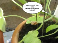 Bild 005.webp