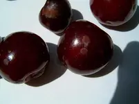 SUC30013.webp