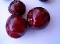 SUC30015.webp