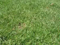 IMG_3158_Detail1.webp