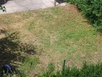 IMG_3156_Toni.webp