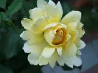 28659.webp
