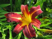 IMG_belgien_1024x768.webp