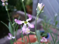 DSCF3686.webp