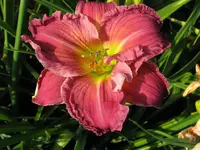 IMG_albert 27_1024x768.webp