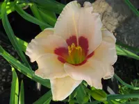 IMG_albert 205_1024x768.webp