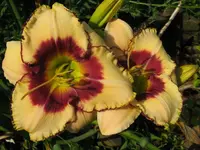 IMG_albert 220_1024x768.webp