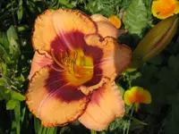 IMG_albert 263-1_1024x768.webp