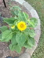 10072010893.webp