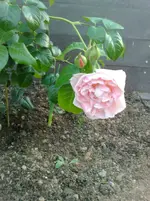 10072010895.webp