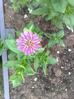 10072010896.webp