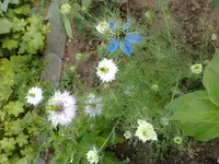 10072010904.webp