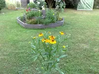 10072010900.webp