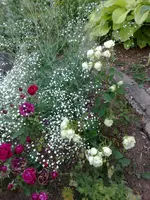 10072010901.webp