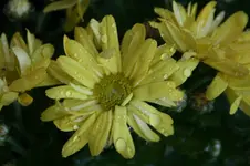 28650.webp