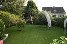 020.webp