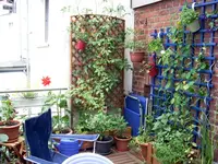 2010_0710-01.webp