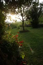 Morgentlicher Blick.webp