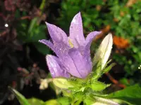 IMG_7515_1024x768.webp