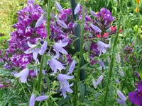 IMG_7514_1024x768.webp