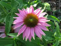 IMG_7482_1024x768.webp