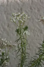 01.webp