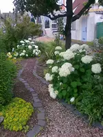Juli2010 (14).webp