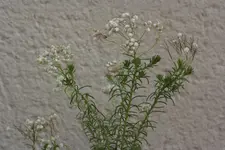 02.webp