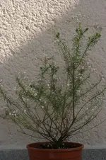 03.webp