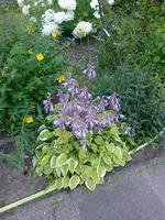 Juli2010 (11).webp