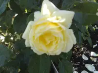 11072010922.webp