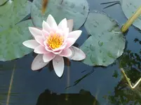 11072010923.webp