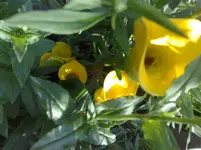 11072010948.webp