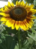 11072010949.webp