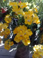11072010954.webp