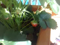 11072010958.webp
