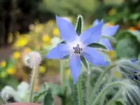 28739.webp