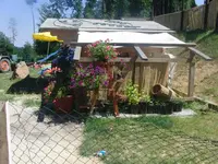 CIMG7848.webp