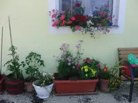 CIMG7850.webp