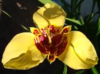 DSC00539.webp