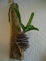Bilder10.07.10 035.webp