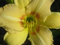 026.webp