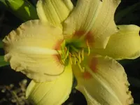 027.webp