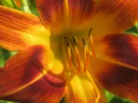 034.webp