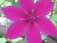 053.webp