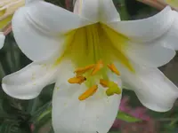 063.webp