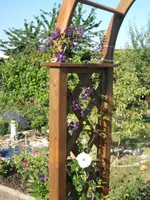 Garten 019.webp