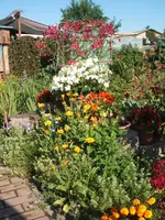 Garten 022.webp