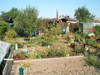 Garten 023.webp